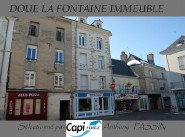 Achat vente immeuble Doue La Fontaine