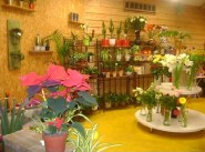 Achat vente Les Brouzils