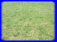 Achat vente terrain Quimiac