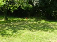 Achat vente terrain Sautron