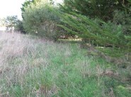 Immobilier L Ile D Olonne