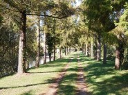 Immobilier Oisseau Le Petit