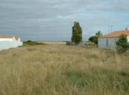 Terrain Barbatre