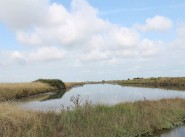 Terrain Bouin