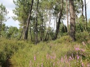 Terrain Commequiers