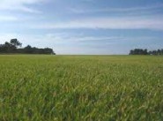 Terrain Gennes