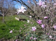 Terrain Juigne Sur Loire