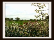 Terrain Machecoul