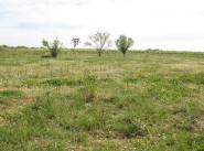 Terrain Monnieres