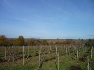 Terrain Saint Lambert Du Lattay